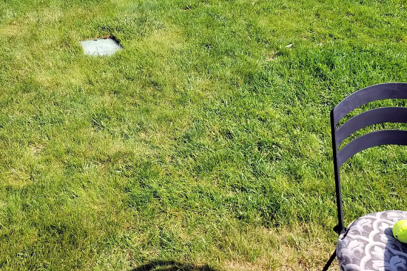New sod lawn established around a Flathead Valley home